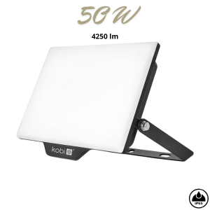 LED Reflektor Delyo – 50W, 4250lm, 4000K, IP65